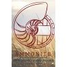 Ammonite