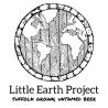 Little Earth Project